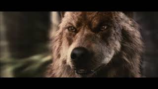 Wolves - A One Direction Music Video