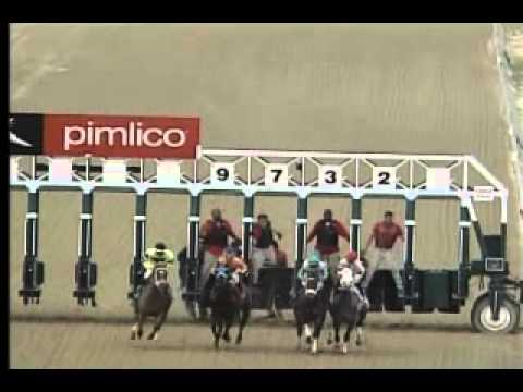 Pimlico 05/01/14 race 9