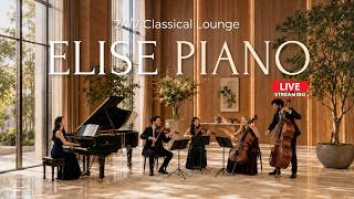 Download lagu 🔴 24/7 LIVE [広告なし] 心地よい朝のクラシックピアノ 🌿 | 作業用 集中BGM 店舗音楽 | Elise Piano mp3