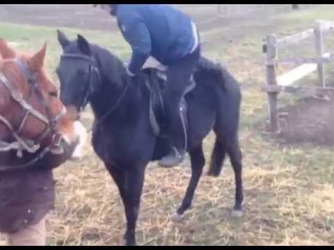 A legenda visszatér (hamarosan)