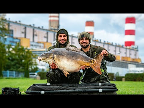 BIG CARPS FROM THE POWER PLANT – FISHING AT RYBNIK 🏭 ⚡