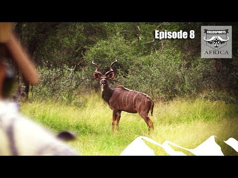 download lagu mp3 mp4 African Hunting Safari, download lagu African Hunting Safari gratis, unduh video klip African Hunting Safari