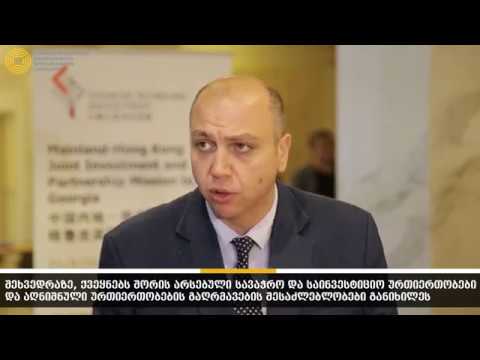 ირაკლი ქარსელაძემ ჰონგ-კონგის ბიზნესდელეგაციას ინფრასტრუქტურული  პროექტები გააცნო