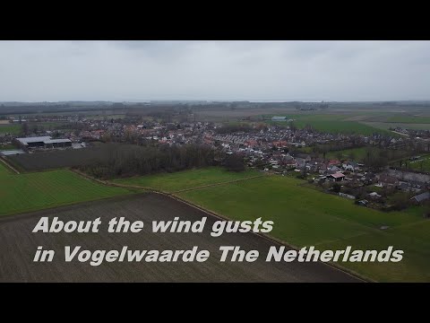 Vogelwaarde Netherlands has a lot of wind gusts in winter