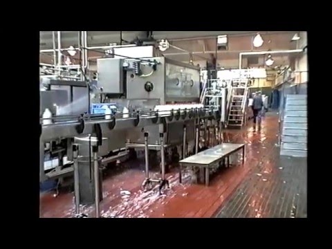 Express Dairies Morden. Taken 1991 approx. When I worked for the Milk Board.