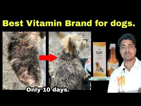 Velcote Liquid Veternary