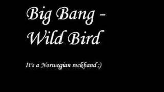 Big Bang - Wild Bird