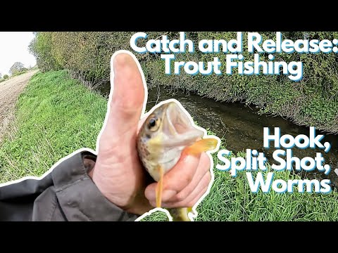 Catch and Release: Trout Fishing with Hook, Split Shot, and Worms on a Small Stream in Ireland