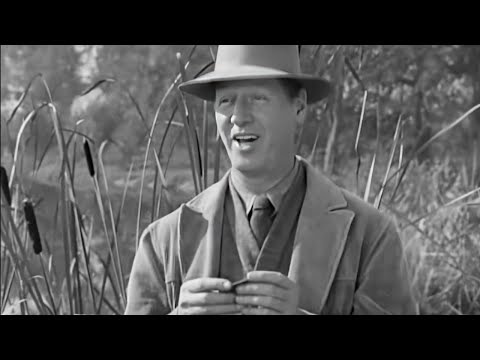 A Stranger in Town 1943 (Comedy, Drama) Frank Morgan, Jean Rogers, Richard Carlson | Movie