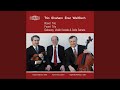 Piano Trio, Op. 120: III. Allegro vivo - Trio Shaham Erez Wallfisch - Topic Piano Trio, Op. 120: III. Allegro vivo