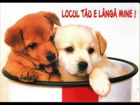 Cineva in lumea asta te iubeste