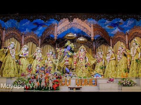 Krishna Deva Bhavantam Vande🌸 H.G Rupa Goswami | Kishori Mohan Das | 🌼📿🌸🙏❤️😍 #harekrishnakirtan