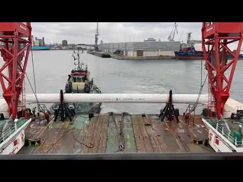 Scaldis-hijsbok 'Rambiz' keert terug naar Antwerpen