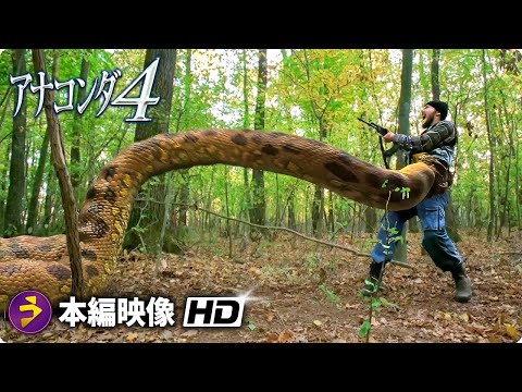 4種のアナコンダ