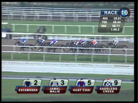 New Year Cup 2011 (Escamonda)