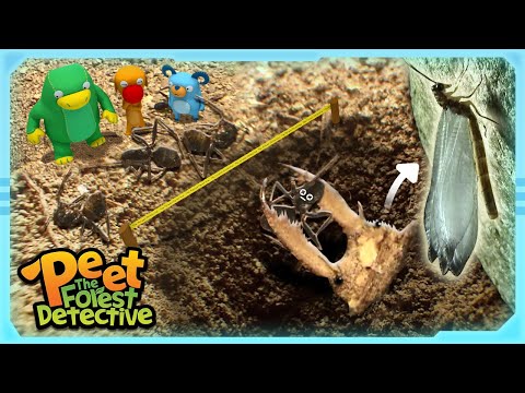 Day in the Life of an Antlion Larva  | S1 EP2 | Nature Stories For Kids | Peet The Forest Detective