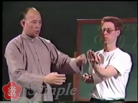 Preview: Moy Yat - Siu Lim Tao