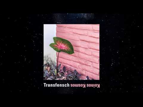 Transfensch - Koinos Kosmos [Full Album]