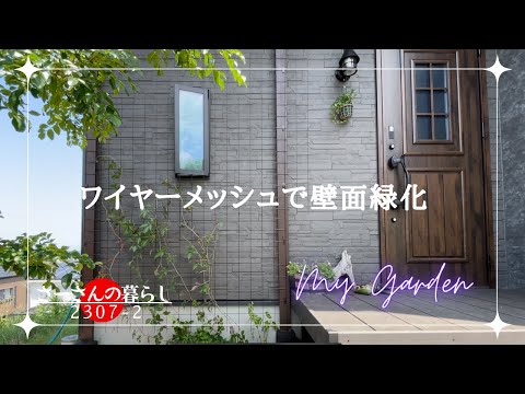 トレリスをどこにどのように取り付けるかを知っておくことが重要です。その役割は何ですか、そしてどの植物がそれを必要とするのでしょうか？  庭園