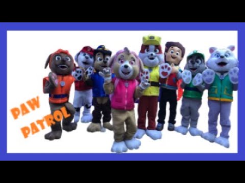Show de Paw Patrol | Tareas Educacionales | Actividades de integración social | Wiwi Shows