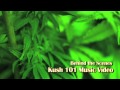 KUSH 101 - Behind the Scenes with Michelob ...