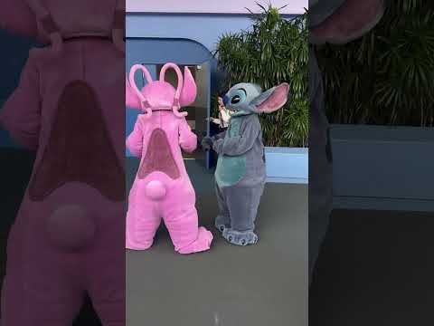 Stitch and Angel are too cute! #stitch #disneyland #disneyparks