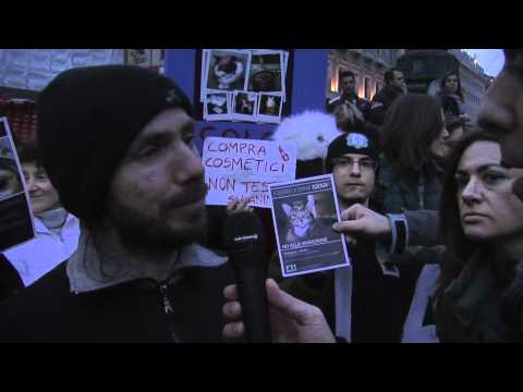 No alla vivisezione   il movimento 5 stelle intervista i manifestanti del comitato No green hill