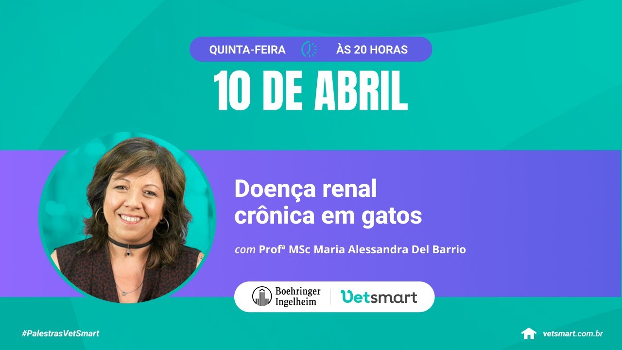 Telmisartana: um importante aliado para o gato com DRC