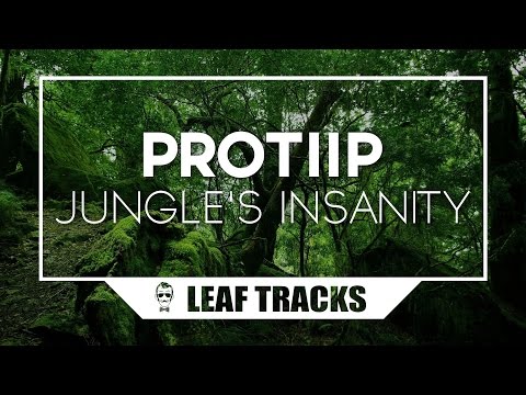 PROTIIP - Jungle's Insanity (Original Mix)