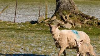 2 Winter Walks Moel Famau