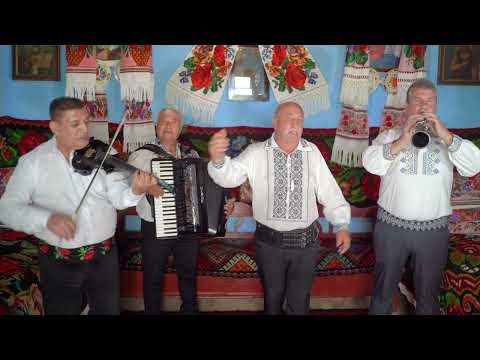 Aurel Mascovici - Din Câmpeni până-n Abrud