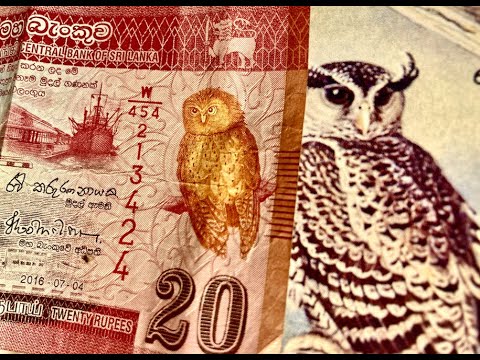 Podcast: Bird Sounds with Deepal Warakagoda