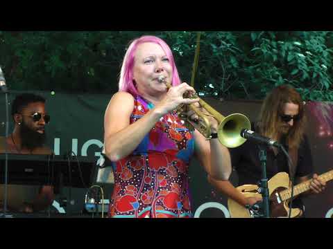 Dawn Weber and Electro Funk Assembly Live at Missouri Botanical Gardens Whitaker Music Festival 2019