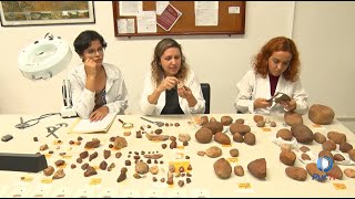 Miniatura do vídeo