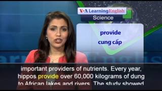 Phát âm chuẩn cùng VOA - Anh ngữ đặc biệt: Hippos - The Life Force of African Rivers (VOA)
