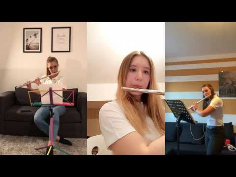 JuKa im Homeoffice - Teil 2: Auf der Vogelwiese