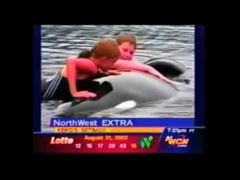 NorthWest Cable News EXTRA (WA, OR, ID): \LIVE: Setback for Keiko the Orca?\