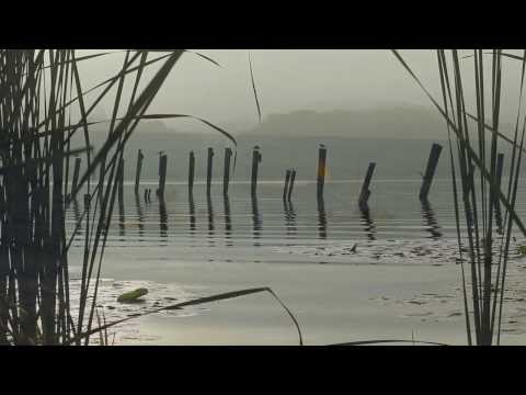 DJ Lexus - Melo Weekend