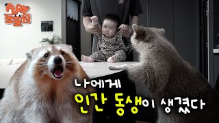 [SUB] 갑자기 아빠가 꼬마 인간을 데려왔다, 동생이 생긴 라쿤 춘식이🦝ㅣ춘식이 2편ㅣSuddenly, Dad brought home a little human🦝