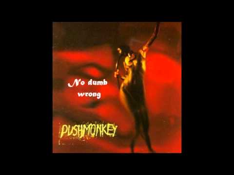 Pushmonkey - No dumb wrong