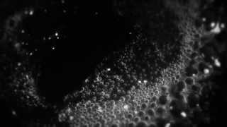 Memory Tapes "Yes I Know"