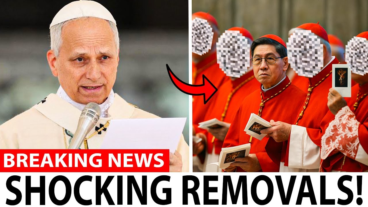 Pope Leo XIV Is Cleaning House — These 6 Cardinals Face REMOVAL...