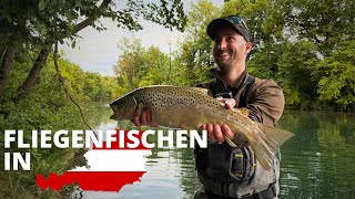 Fliegenfischen in kristallklaren Alpenflüssen! Was für große Fische!?