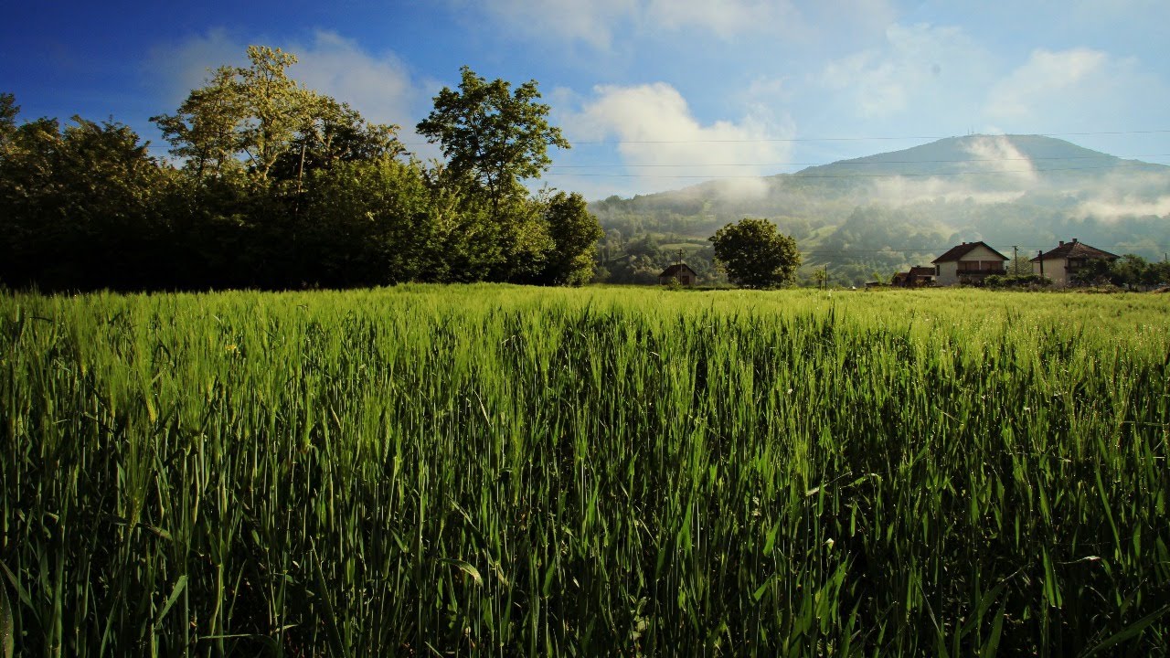 18.4.2021. У 21:30, УЖИВО МОЛИТВА ПРЕ СПАВАЊА И РАЗГОВОР СА О. МИЛОРАДОМ МИРОВИЋЕМ