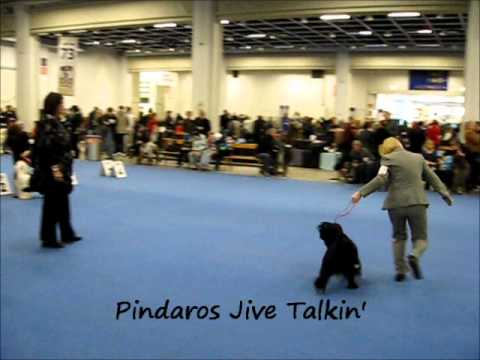 TT Junior Males, Helsinki Winner Show 2011