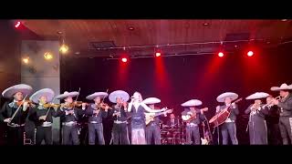 Video de Maríachi Los Toritos 