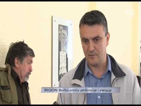 TV KANAL 9, NOVI SAD, Borba protiv ambrozije i alergija