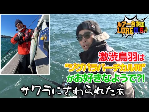 激渋鳥羽は”ジグパラバーチカルTG” がお好きなようで⁈サワラにさわられたぁ〜‼️（ルアー合衆国プラス/2024年1月13日放送）