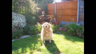 Thea Gilmore Devils song