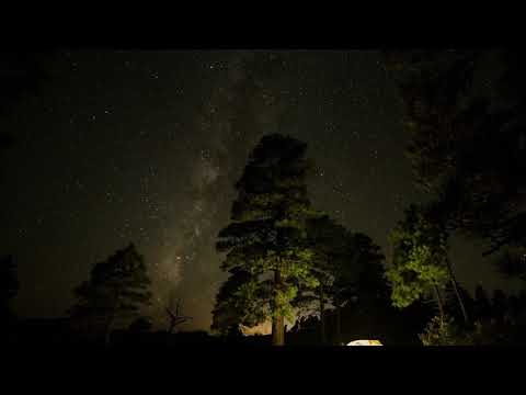 1 Hour Nonstop Loon Calls With Campfire Sound ~ Loon Calls For Relaxing; *NO MUSIC*